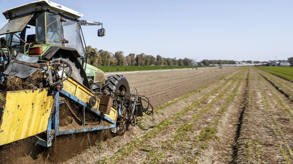 Ucraina, è allarme per l’agricoltura in Italia e in altri 12 Paesi Ue