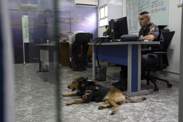 A Rio de Janeiro il cucciolo randagio diventato cane poliziotto