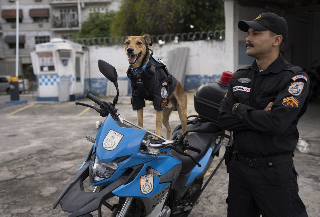 A Rio de Janeiro il cucciolo randagio diventato cane poliziotto