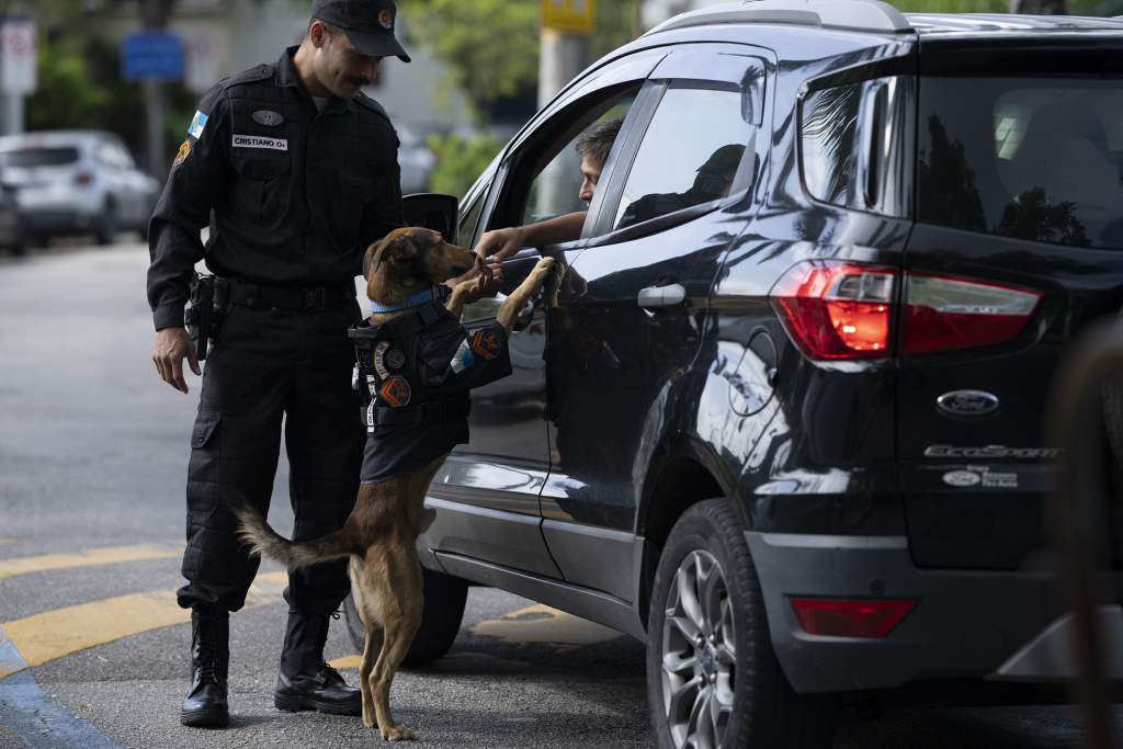 A Rio de Janeiro il cucciolo randagio diventato cane poliziotto