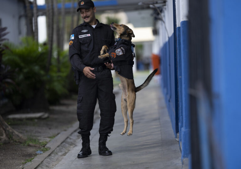 A Rio de Janeiro il cucciolo randagio diventato cane poliziotto