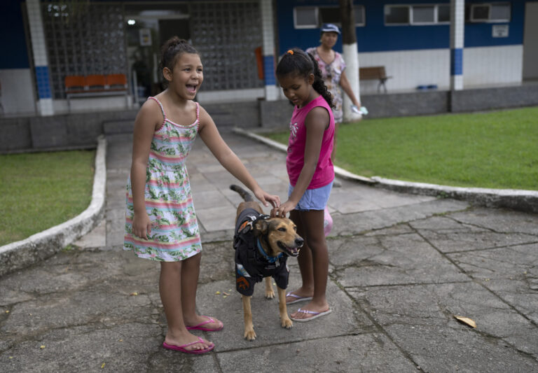 A Rio de Janeiro il cucciolo randagio diventato cane poliziotto