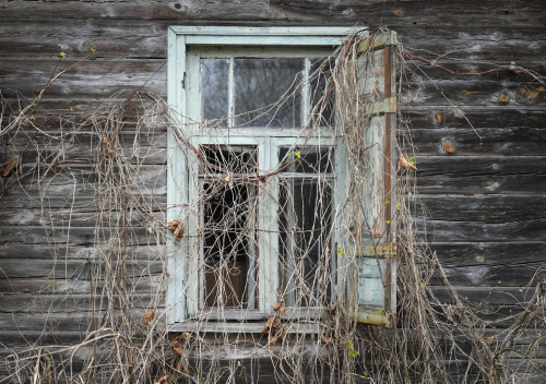 Chernobyl, le trincee russe in una delle zone più radioattive al mondo