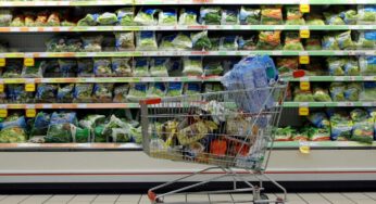 Istat: effetto inflazione sui consumi, a marzo -0,6%, nel carrello -6% cibo