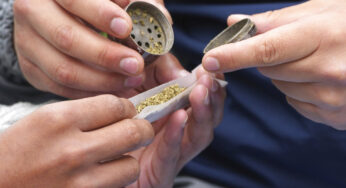 Droga: Ue da consumatore a produttore, Italia quarta per sequestri cocaina