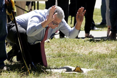 In California tornano a “saltare le rane” – FOTOGALLERY