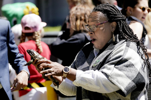 In California tornano a “saltare le rane” – FOTOGALLERY