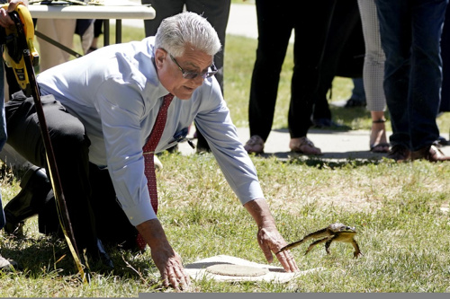 In California tornano a “saltare le rane” – FOTOGALLERY