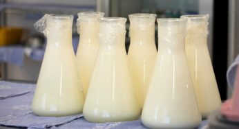 Calano le donazioni di latte materno, allarme per i neonati in ospedale