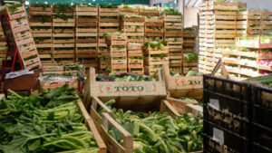 A Tropea il Festival dei 5 Colori dedicato alla Dieta Mediterranea