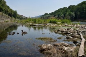 La gravissima siccità che ha colpito il Po e gran parte dei fiumi italiani è la peggiore degli ultimi 70 anni
