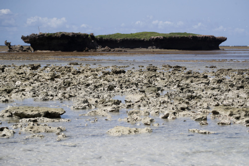 Per combattere lo sbiancamento dei coralli, il Kenya si rivolge ai vivai della barriera corallina – FOTOGALLERY