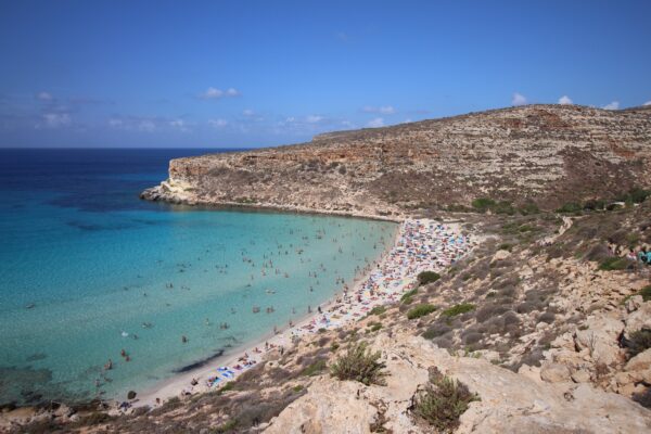 Lampedusa: la spiaggia dei conigli gestita da Legambiente, dove nascono le tartarughe