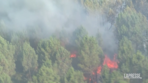 Due grandi incendi in Francia, più di 800 Vigili del Fuoco in azione vicino a Bordeaux