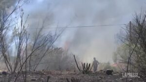 Grecia, gli incendi bruciano i sobborghi di Atene