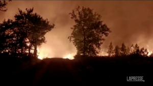 Maxi-incendio in Francia: mille pompieri in azione in una pineta