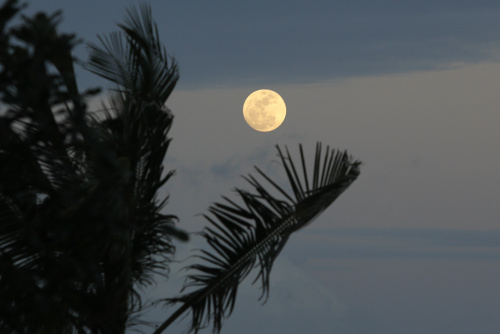 Superluna dello storione, l’ultima del 2022 con le immagini più belle dal mondo – FOTOGALLERY