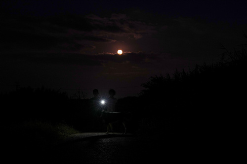 Superluna dello storione, l’ultima del 2022 con le immagini più belle dal mondo – FOTOGALLERY