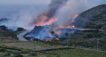 Pantelleria in fiamme: paura per un incendio doloso, individuati più focolai
