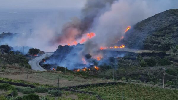 Pantelleria in fiamme: paura per un incendio doloso, individuati più focolai
