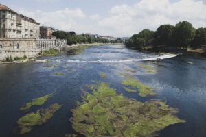 Clima: servono soluzioni idriche contro proliferazione alghe