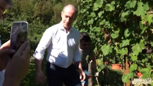 Vendemmia Solidale nella culla del Prosecco, con il governatore Zaia